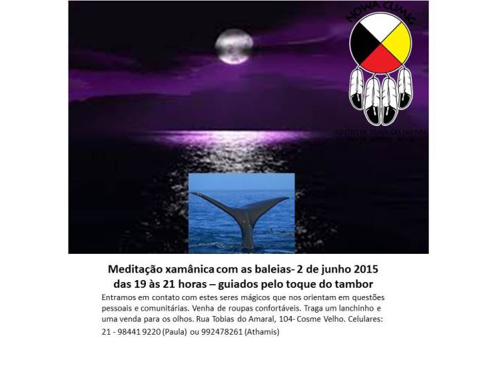 Meditação baleias- 2 de junho