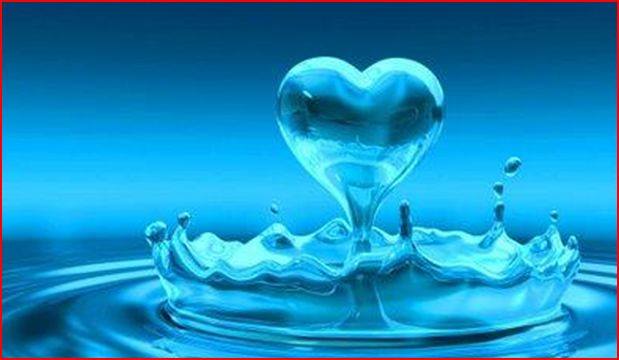 16174630_1537636982932369_2389507598275069533_n